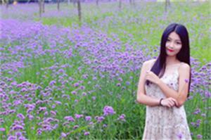 上海茶庄的社交网络:连接茶友与人生 上海茶庄的社交网络:连接茶友与人生