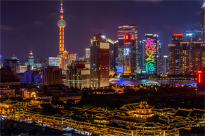 The impact of Shanghai's dengue fever epidemic on the tourism industry The impact of Shanghai's dengue fever epidemic on the tourism industry